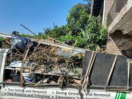 Best Hoarding Cleanup  in Phenix City, AL